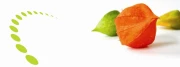 Logo Nikolaus, Christian Dr.med.dent.