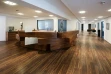 Kieferorthopädie Dr. Dr. Thomas Bayerlein Ingolstadt